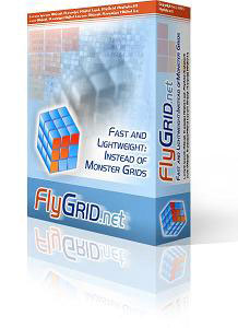 FlyGrid.Net Box